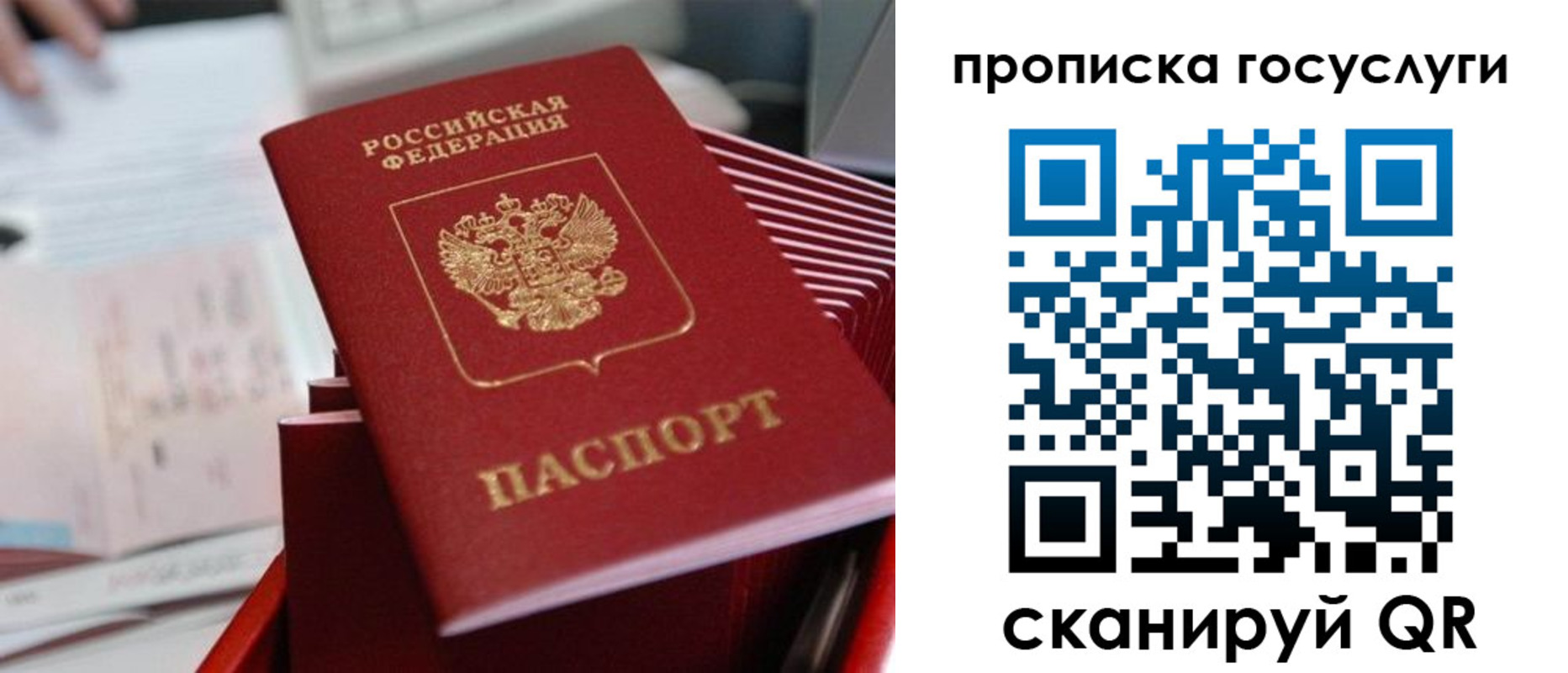 прописка законно в Плавске